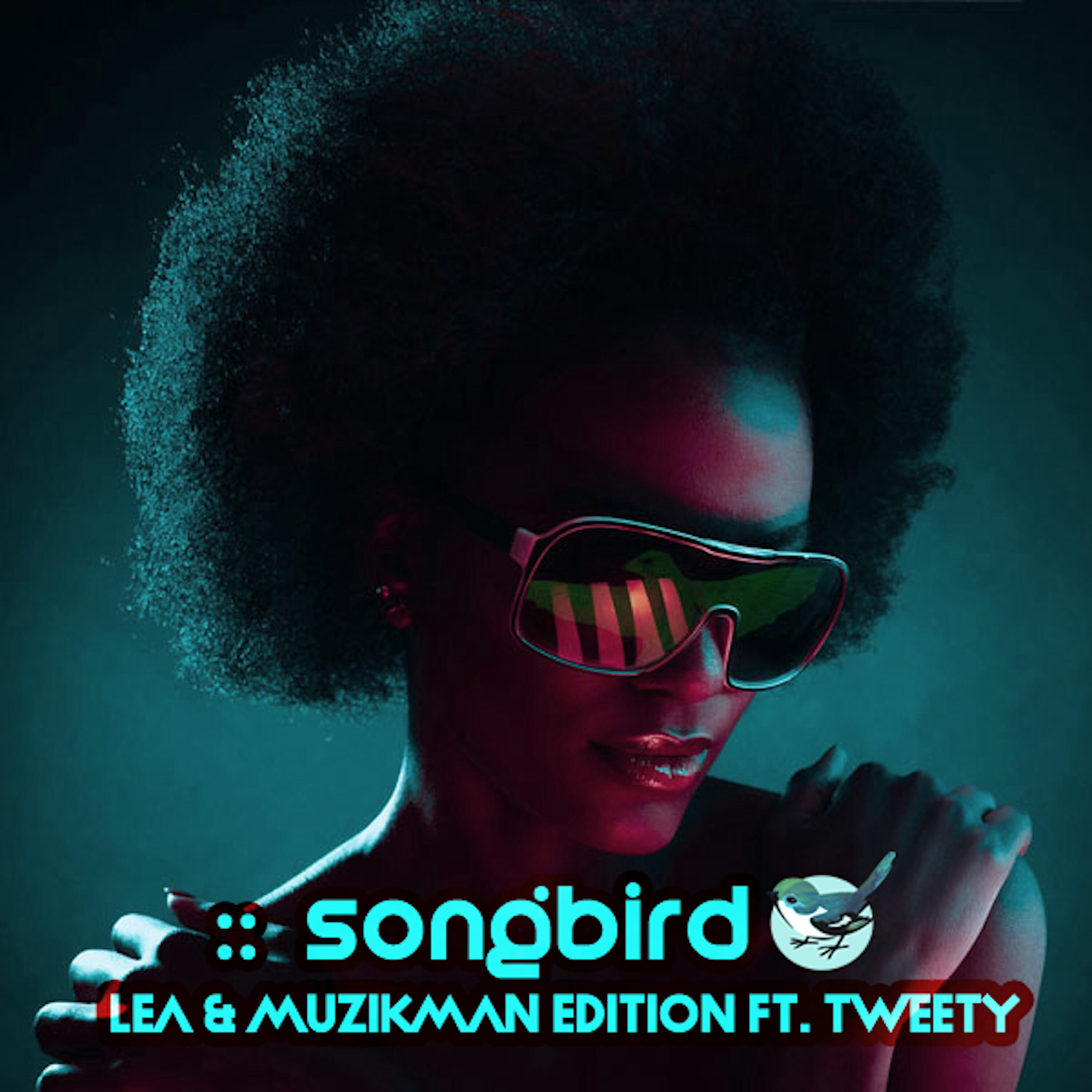 TWEETY - Songbird (Oscar P Afro Rework)
