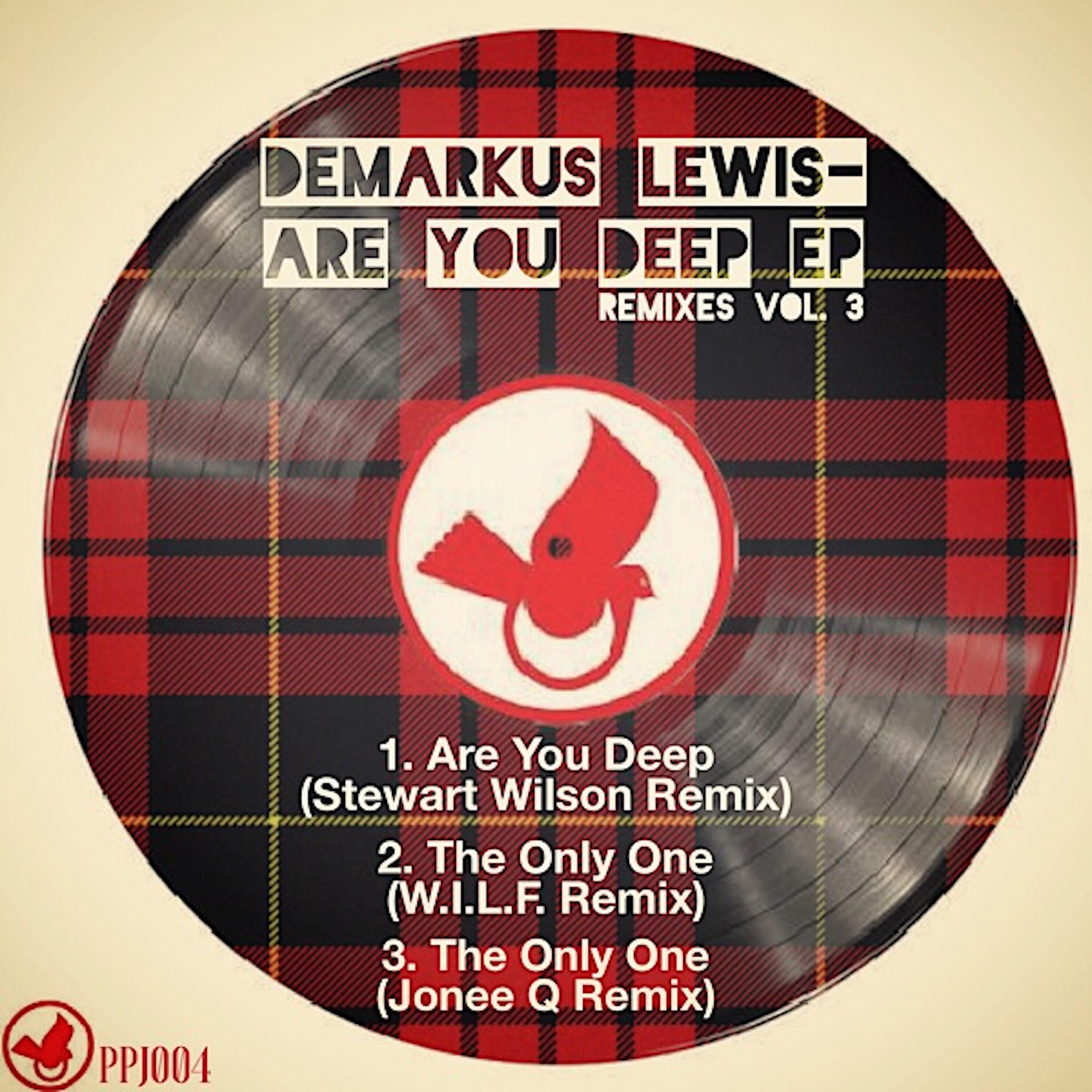 DeMarkus Lewis - The Only One (Jonee Q Remix)