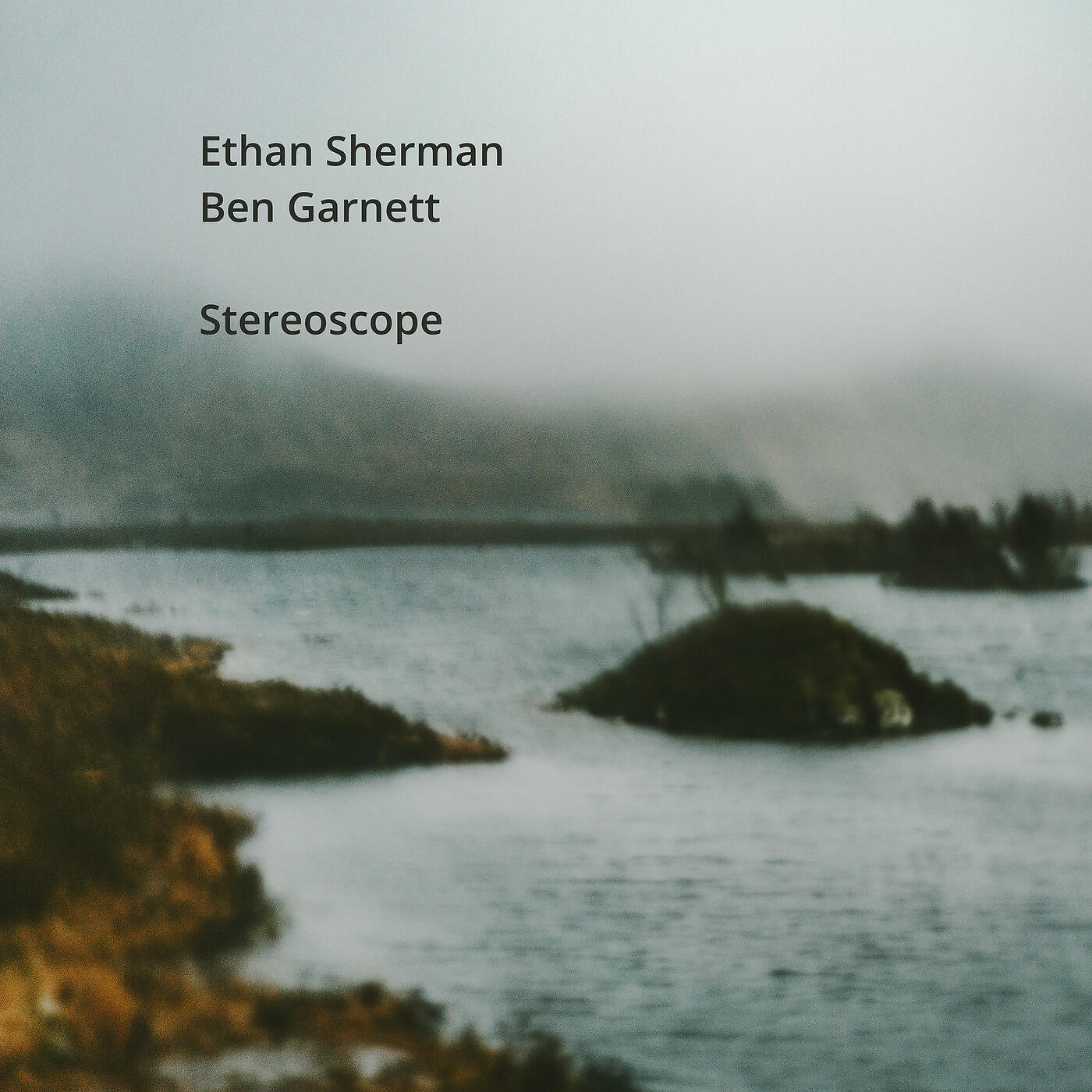 Ethan Sherman - Home Again