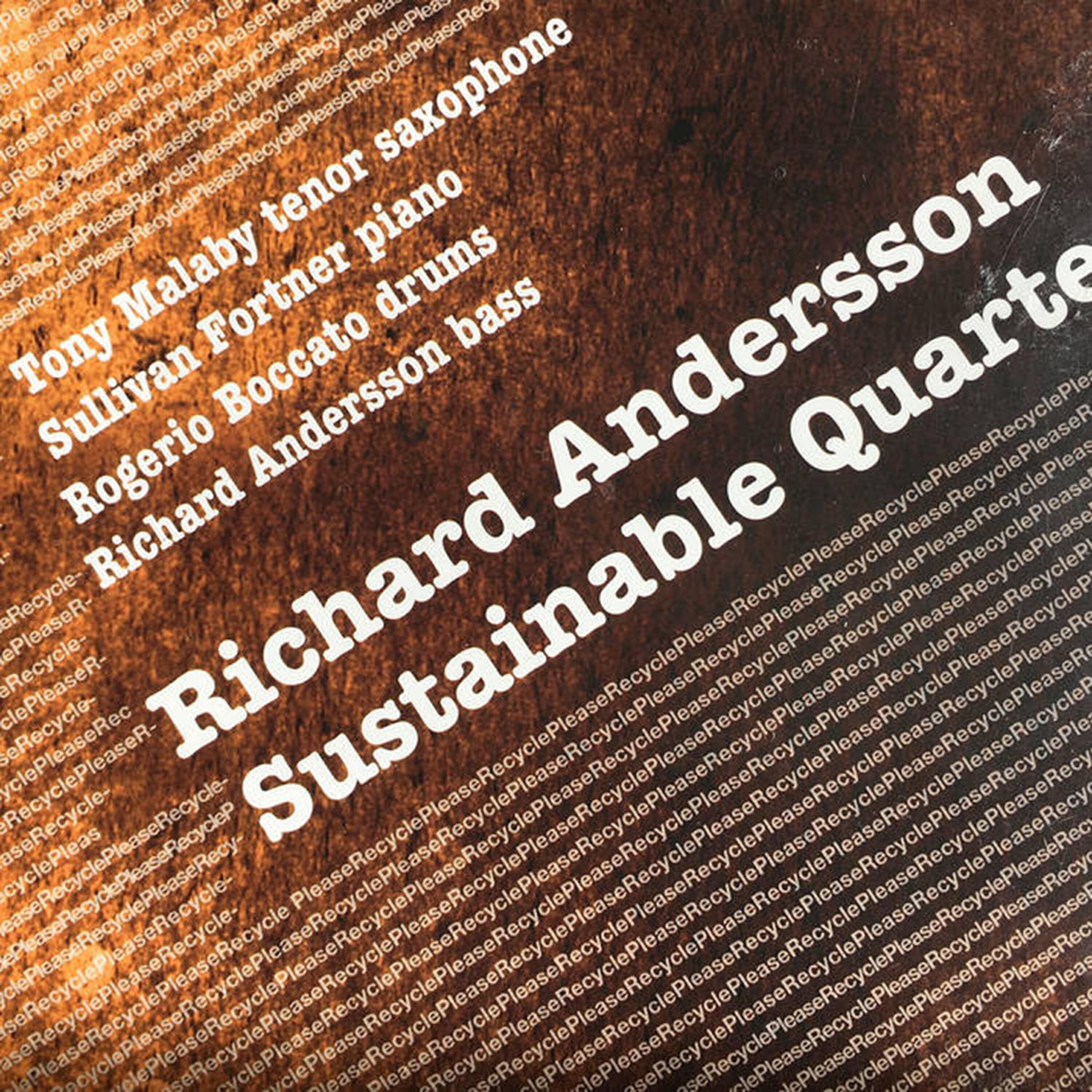 Richard Andersson - Nonsense